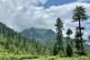 Rights groups object to Himachal forest official’s letter on FRA