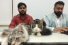 Feline Frenzy: 'Cat Show' to Delight Animal Lovers in Navi Mumbai