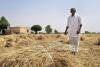 Farmers Await Monsoon Rains; Eyes Fixed on the Sky Amid Growing Kharif Season Worries