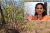 Supriya Sule Opposes PMC’s Plan to Remove Nearly 1,500 Trees at Mundhwa Botanical Garden