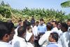 Collector Karthikeyan Inspects Hailstorm-Damaged Banana Plantations in Madha