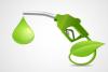 CSIR–NIIST Signs MoU with 3CousinLabs to Scale Up Ethanol Production from Seasonal Fruits