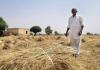 Farmers Await Monsoon Rains; Eyes Fixed on the Sky Amid Growing Kharif Season Worries