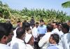 Collector Karthikeyan Inspects Hailstorm-Damaged Banana Plantations in Madha