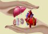 Need for Organ Donation Festivals in Colleges to Inspire a Life-Saving Movement Among Youth