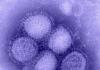Swine Flu cases rise in Pimpri-Chinchwad, 31 reported in August