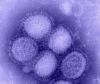Swine Flu cases rise in Pimpri-Chinchwad, 31 reported in August