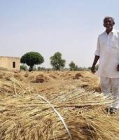 Farmers Await Monsoon Rains; Eyes Fixed on the Sky Amid Growing Kharif Season Worries