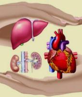 Need for Organ Donation Festivals in Colleges to Inspire a Life-Saving Movement Among Youth