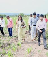 Sangli District Collector Inspects Drought-Affected Areas