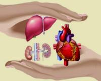 Need for Organ Donation Festivals in Colleges to Inspire a Life-Saving Movement Among Youth