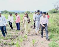 Sangli District Collector Inspects Drought-Affected Areas