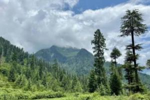 Rights groups object to Himachal forest official’s letter on FRA