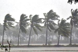 Monsoon arrives in Kerala, India Meteorological Department Issues Red Alert!