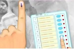 Women Voters Register Higher Turnout in Pune District Municipal Council Elections