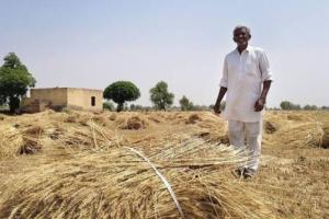 Farmers Await Monsoon Rains; Eyes Fixed on the Sky Amid Growing Kharif Season Worries