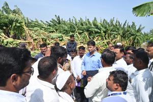 Collector Karthikeyan Inspects Hailstorm-Damaged Banana Plantations in Madha
