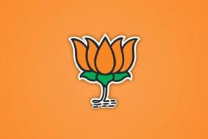 Himachal Pradesh : Congress Citadel Collapses in Solan, BJP Captures Zilla Parishad