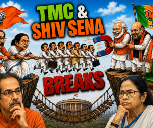 India Special Analysis: Democracy on the Edge?